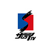 FIGHTING TV サムライ