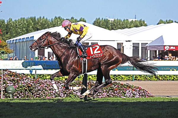 中央競馬全レース中継