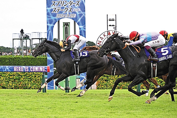 中央競馬全レース中継