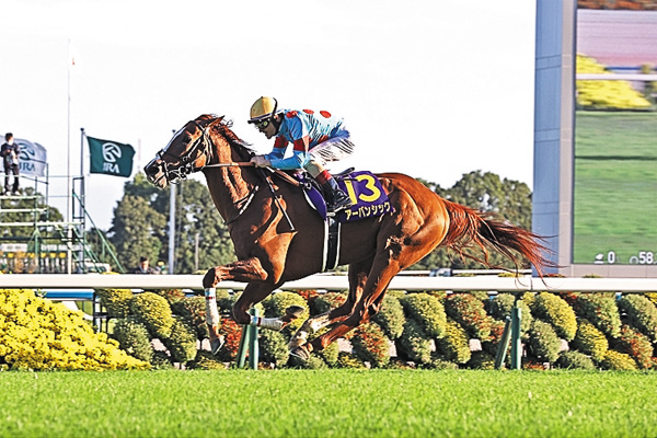 中央競馬全レース中継