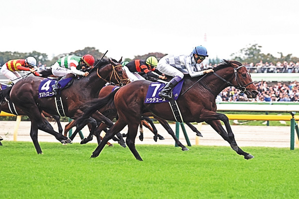 中央競馬全レース中継