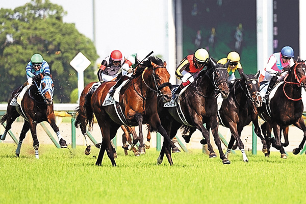 栄光の名馬たちシャフリヤール