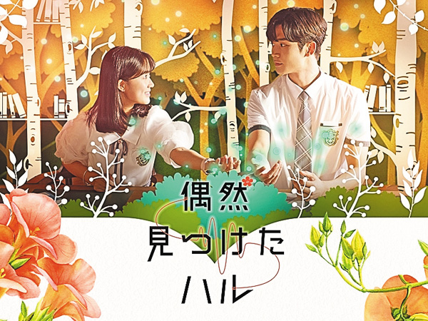 (新)韓国ドラマ「偶然見つけたハル」