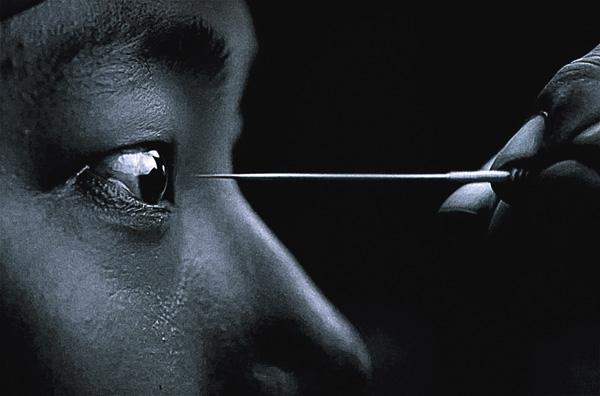 （映）梟－フクロウ－