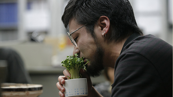 闇金ウシジマくん #1～9（全9話）