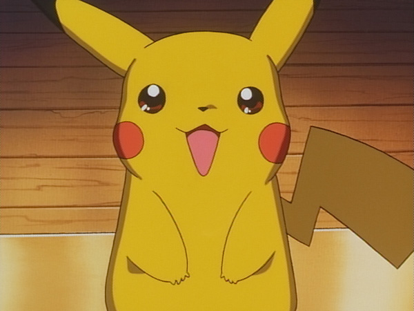 ピカチュウのふゆやすみ