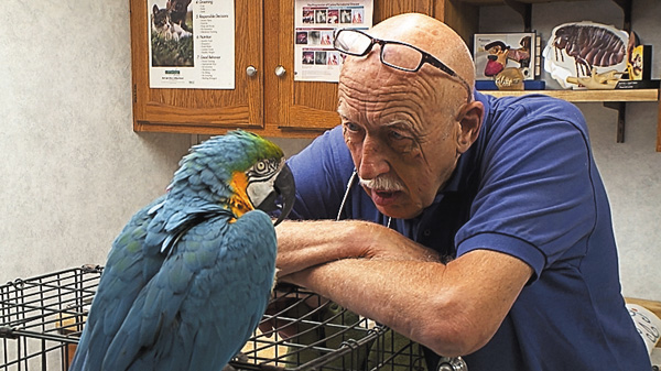 （新）スゴ腕どうぶつドクター 総集編４