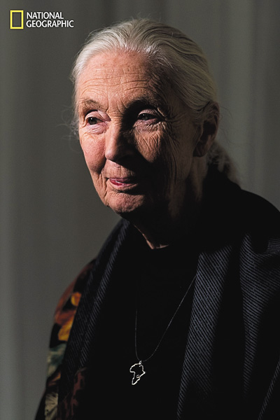 【ワイルド ネイチャー プラス】追悼：ジェーン・グドール