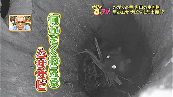 所さんの目がテン！