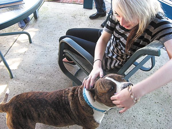 ピットブルと塀の外に出た者たち シーズン2