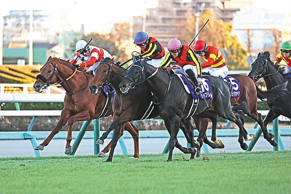 中央競馬全レース中継