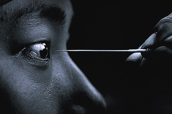 （映）梟－フクロウ－