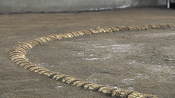 相撲の原点は稽古にあり~大相撲 出羽海一門連合稽古~