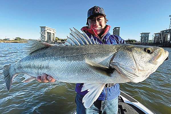 魚種格闘技戦！ ＃285