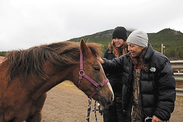 ウマ年！獣医ミシェル