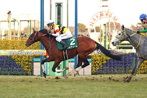 中央競馬全レース中継