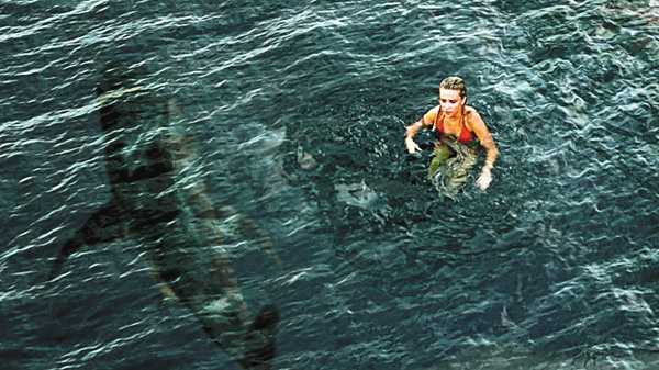 （映）ホワイトシャーク　湖の水面の下に