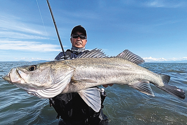 シーバス無双 ＃13