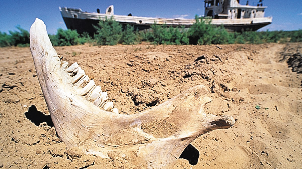 （新）ミステリアス・アイランド：孤島の光と影