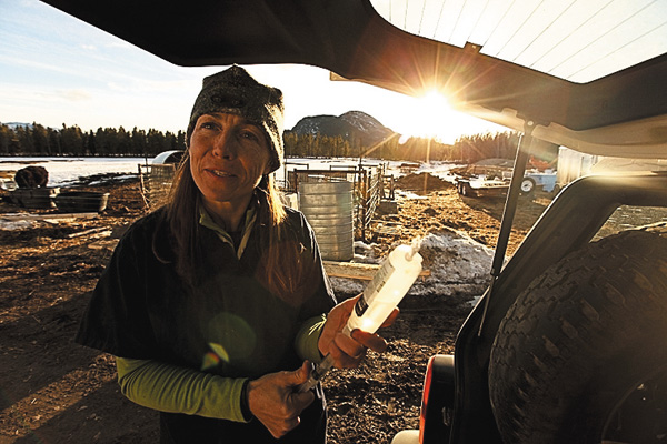 獣医ミシェルの日常 1.5 【日本語吹替版】