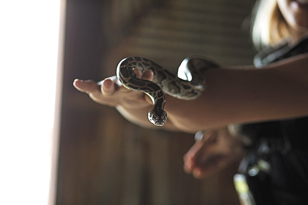 エバーグレーズの守り人