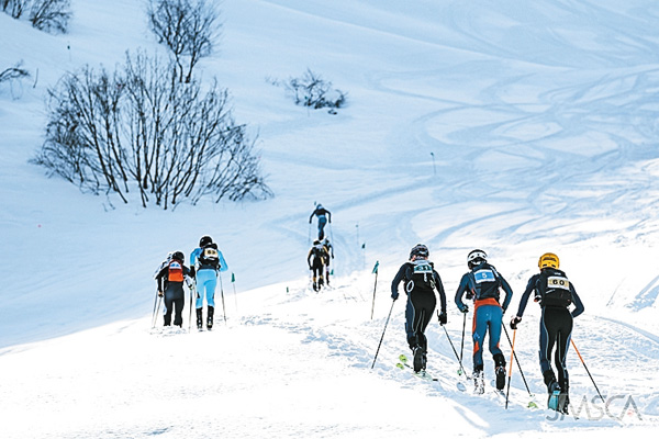 第19回SKIMO日本選手権<黒部・宇奈月温泉大会>