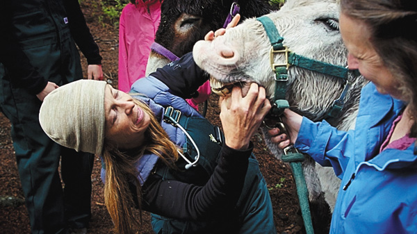獣医ミシェルの女性史月間スペシャル「いつでも冷静沈着に」【日本語吹替版】