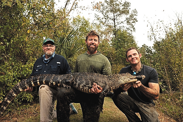 (新)野生の中毒~薬物に侵された動物たち~