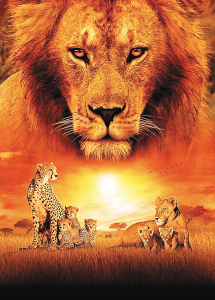 （映）ディズニーネイチャー／サバンナを生きる百獣の王