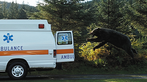 (映)コカイン・ベア