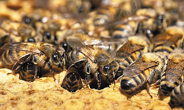 特集：驚きと出会う