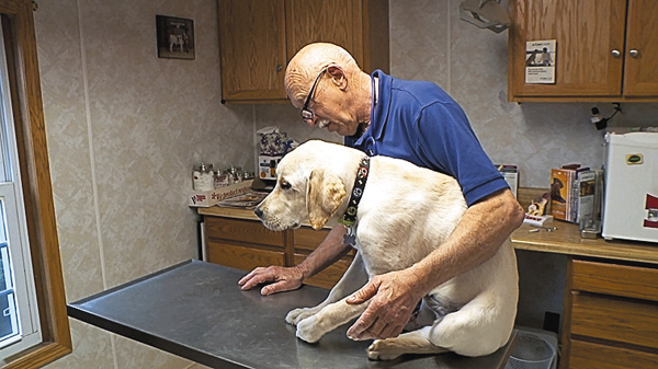 （新）スゴ腕どうぶつドクター 総集編５