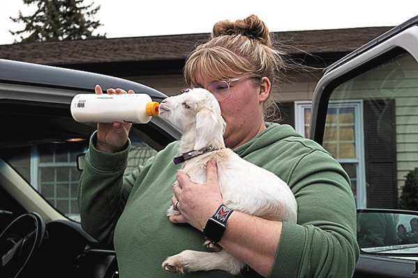 月刊 Dr.ポール：4月号