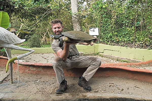 野生の中毒～薬物に侵された動物たち～
