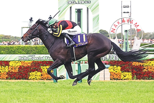 中央競馬全レース中継