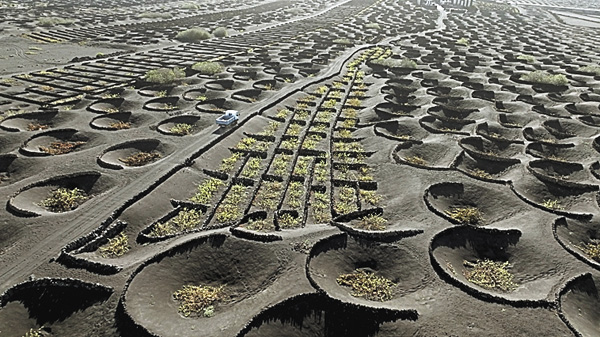 （新）大解剖！大地が語るスペインの驚異