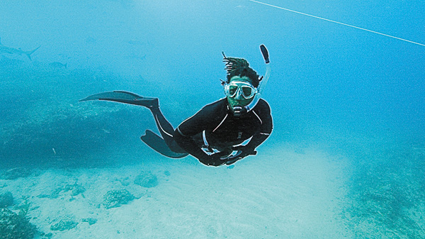 【アンコール一挙】シャーク・アカデミー