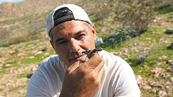 【アンコール一挙】ワイルド！フランク カリフォルニア