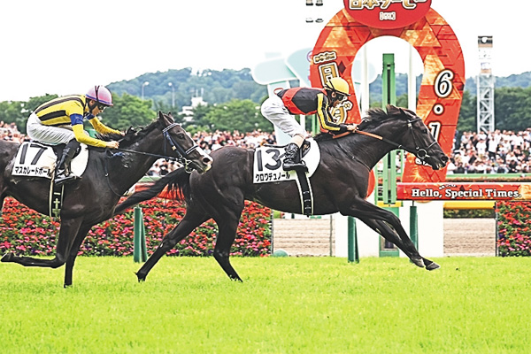 中央競馬全レース中継