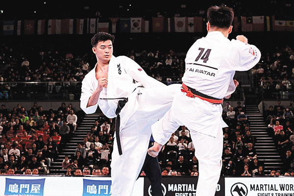 第10回全日本フルコンタクト空手道選手権大会