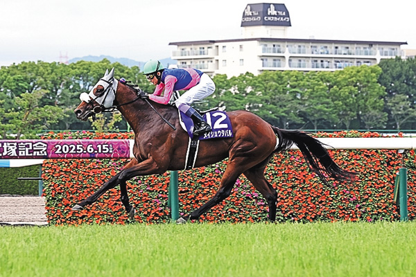 中央競馬全レース中継