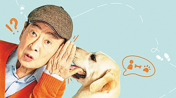 （新）韓国ミステリーコメディ「犬と俺！？～ソフィは最高の相棒～」