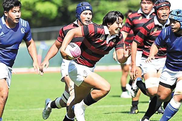 ラグビー 関東大学対抗戦 2026