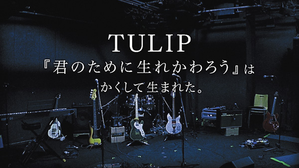 TULIP 『君のために生れかわろう』はかくして生まれた。