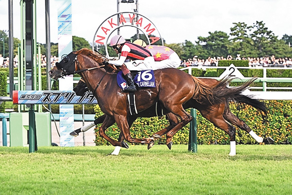 中央競馬全レース中継