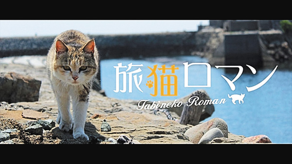 (新)旅猫ロマン
