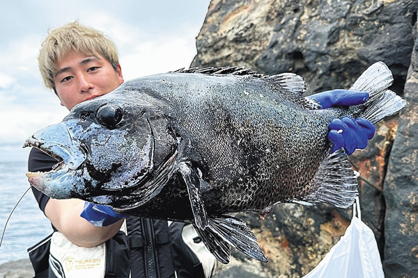 磯釣りギャラリー