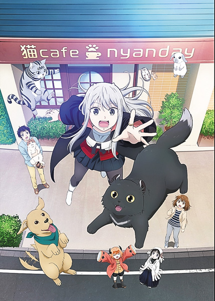 (新)カワイスギクライシス